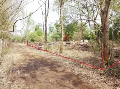 ที่ดินว่างเปล่า เมืองอำนาจเจริญ รูปที่ 1