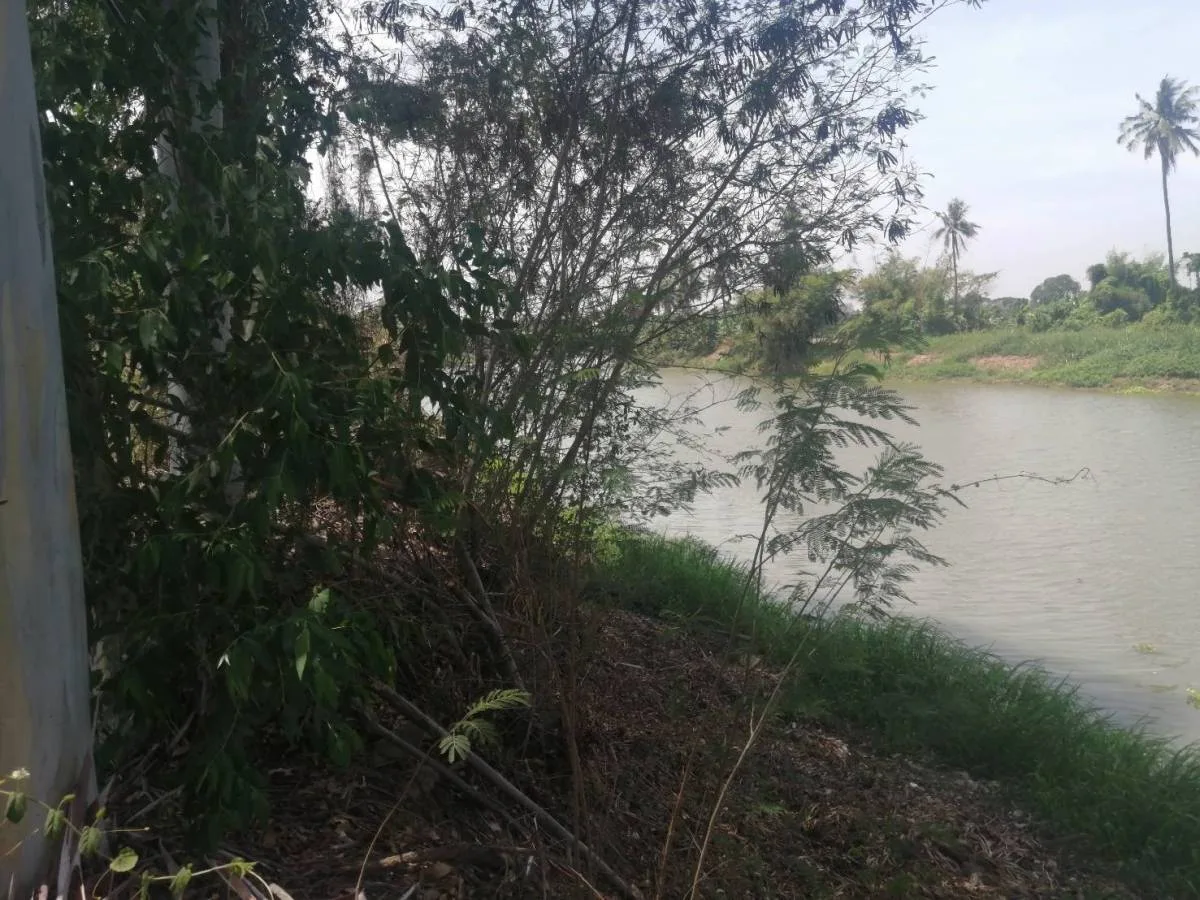บ้านเดี่ยว เดิมบางนางบวช-สุพรรณบุรี