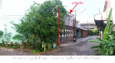 บ้านพร้อมกิจการ เขาชัยสน-พัทลุง รูปที่ 3