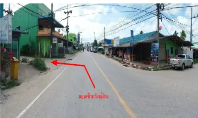 บ้านเดี่ยว ป่าพะยอม-พัทลุง รูปที่ 4