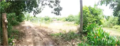 บ้านเดี่ยว ราชสาส์น-ฉะเชิงเทรา รูปที่ 1