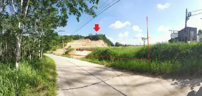 ที่ดินว่างเปล่า พนม-สุราษฎร์ธานี รูปที่ 1
