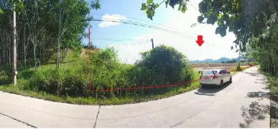 ที่ดินว่างเปล่า พนม-สุราษฎร์ธานี รูปที่ 2
