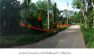 ที่ดินว่างเปล่า จุฬาภรณ์-นครศรีธรรมราช รูปที่ 4