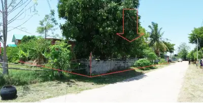 บ้านครึ่งตึกครึ่งไม้ หัวนาคำ โกสุมพิสัย-มหาสารคาม รูปที่ 1