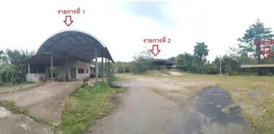 ที่ดินว่างเปล่า นาทวี-สงขลา รูปที่ 2