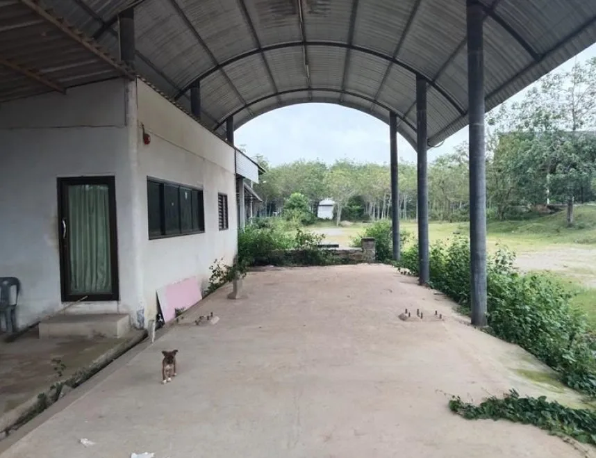 ที่ดินว่างเปล่า นาทวี-สงขลา