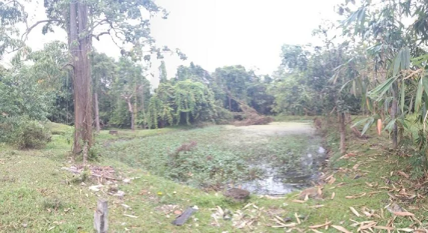 ที่ดินว่างเปล่า นาทวี-สงขลา