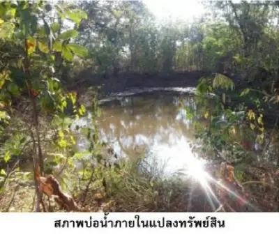ที่ดินว่างเปล่า น้ำยืน-อุบลราชธานี รูปที่ 1
