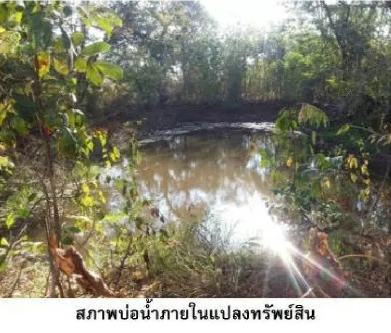 ที่ดินว่างเปล่า น้ำยืน-อุบลราชธานี