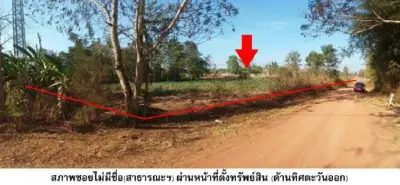 ที่ดินว่างเปล่า น้ำยืน-อุบลราชธานี รูปที่ 2