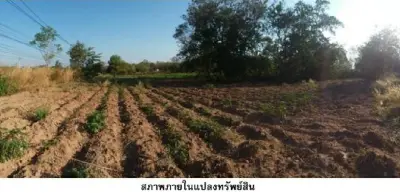 ที่ดินว่างเปล่า น้ำยืน-อุบลราชธานี รูปที่ 3