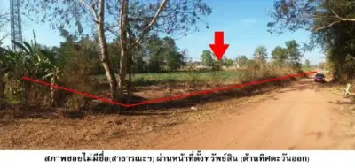 ที่ดินว่างเปล่า น้ำยืน-อุบลราชธานี รูปที่ 4