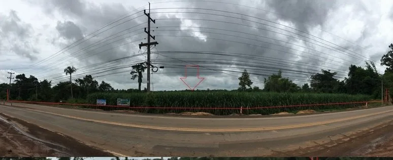ที่ดินว่างเปล่า ป่าติ้ว-ยโสธร
