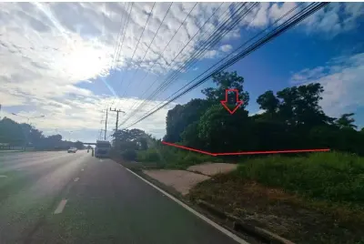 ที่ดินว่างเปล่า พุนพิน-สุราษฎร์ธานี รูปที่ 3