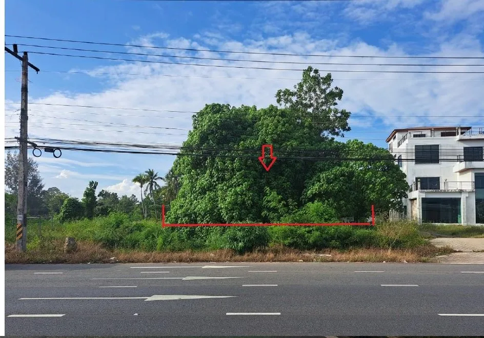 ที่ดินว่างเปล่า พุนพิน-สุราษฎร์ธานี