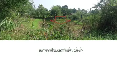 อาคารสำนักงาน เอื้อประชา พังโคน-สกลนคร รูปที่ 4