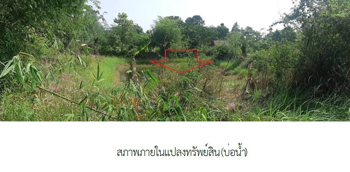 อาคารสำนักงาน เอื้อประชา พังโคน-สกลนคร