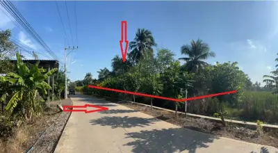 ที่ดินว่างเปล่า นครชัยศรี รูปที่ 1