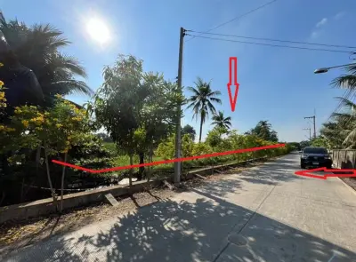 ที่ดินว่างเปล่า นครชัยศรี รูปที่ 2