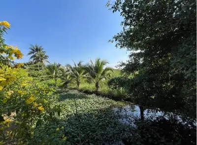 ที่ดินว่างเปล่า นครชัยศรี รูปที่ 4