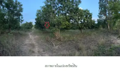ที่ดินว่างเปล่า เมืองอำนาจเจริญ รูปที่ 4