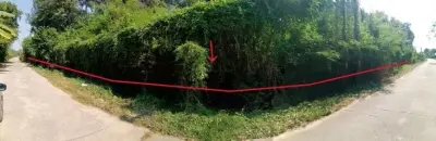 ที่ดินว่างเปล่า สันติธรรม เก้าเลี้ยว-นครสวรรค์ รูปที่ 2