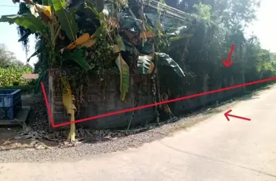 ที่ดินว่างเปล่า สันติธรรม เก้าเลี้ยว-นครสวรรค์ รูปที่ 3