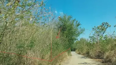 ที่ดินว่างเปล่า ภูพิมาน ปากช่อง-นครราชสีมา รูปที่ 2
