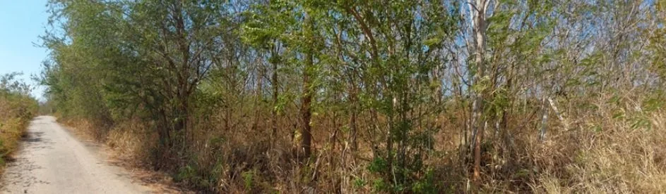 ที่ดินว่างเปล่า ภูพิมาน ปากช่อง-นครราชสีมา