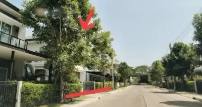 บ้านเดี่ยว เมืองขอนแก่น รูปที่ 3