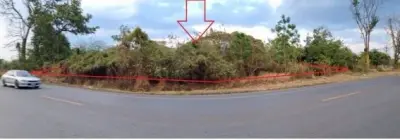 ที่ดินว่างเปล่า เมืองชัยภูมิ รูปที่ 3