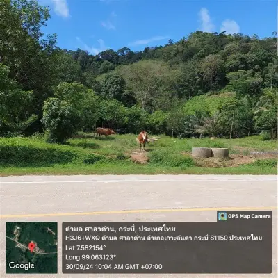 ที่ดินว่างเปล่า เกาะลันตา-กระบี่ รูปที่ 1