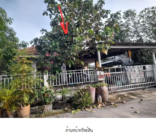 บ้านเดี่ยว โครงการ นันททวี 4 รีสอร์ท กรุงเทพมหานคร