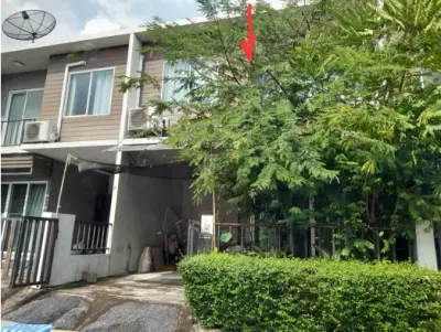 ทาวน์เฮ้าส์ โครงการ เดอะคัลเลอร์ส (Hideaway) บางนา กม.10 สมุทรปราการ รูปที่ 2