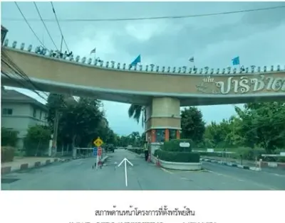 ปาริชาต รูปที่ 1