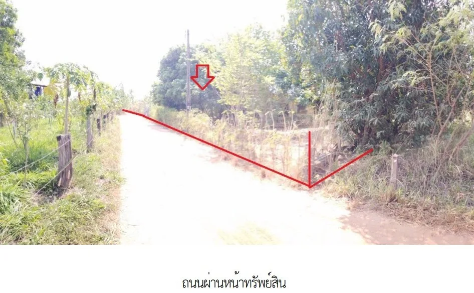 บ้านเดี่ยว ต.สร้างนกทา เมืองอำนาจเจริญ