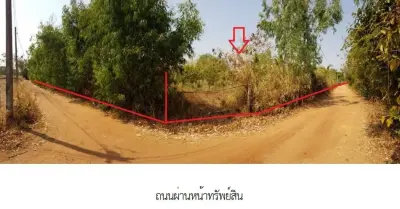 บ้านเดี่ยว ต.สร้างนกทา เมืองอำนาจเจริญ รูปที่ 3