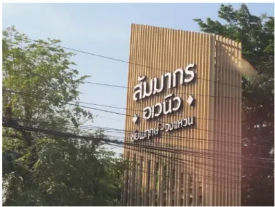 ทาวน์เฮ้าส์ โครงการ สัมมากร อเวนิว ชัยพฤกษ์-วงแหวน นนทบุรี รูปที่ 2