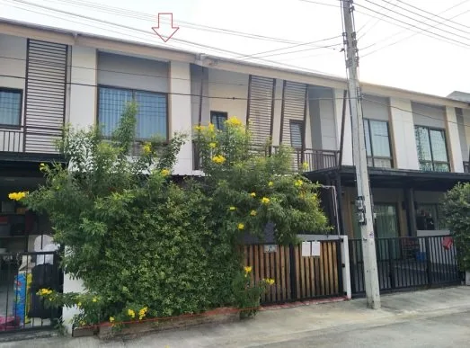 ทาวน์เฮ้าส์ บ้านพฤกษา 115 ไพร์ม รังสิต-คลอง 3 [ซ.1]