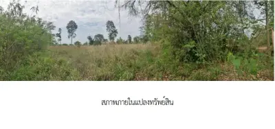 ที่ดินว่างเปล่า บ้านหนองคู ขอนแก่น รูปที่ 4