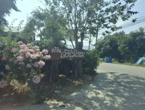 ทาวน์เฮ้าส์ โครงการ บ้านดงไม้งาม นนทบุรี