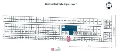 ทาวน์เฮ้าส์ โครงการ บ้านฟ้ารังสิต ลำลูกกา-คลอง 7 ปทุมธานี รูปที่ 3