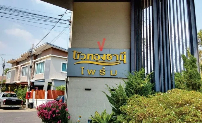 ทาวน์เฮ้าส์ โครงการ บัวทองธานี นนทบุรี