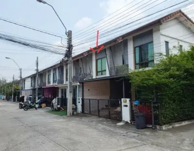 ทาวน์เฮ้าส์ โครงการ บ้านพฤกษา 101 กรุงเทพมหานคร รูปที่ 2