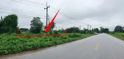ที่ดินว่างเปล่า โครงการ บ้านผักบุ้ง อุดรธานี รูปที่ 2