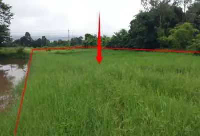 ที่ดินว่างเปล่า โครงการ บ้านผักบุ้ง อุดรธานี รูปที่ 4