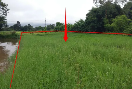 ที่ดินว่างเปล่า โครงการ บ้านผักบุ้ง อุดรธานี