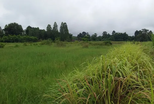 ที่ดินว่างเปล่า โครงการ บ้านผักบุ้ง อุดรธานี