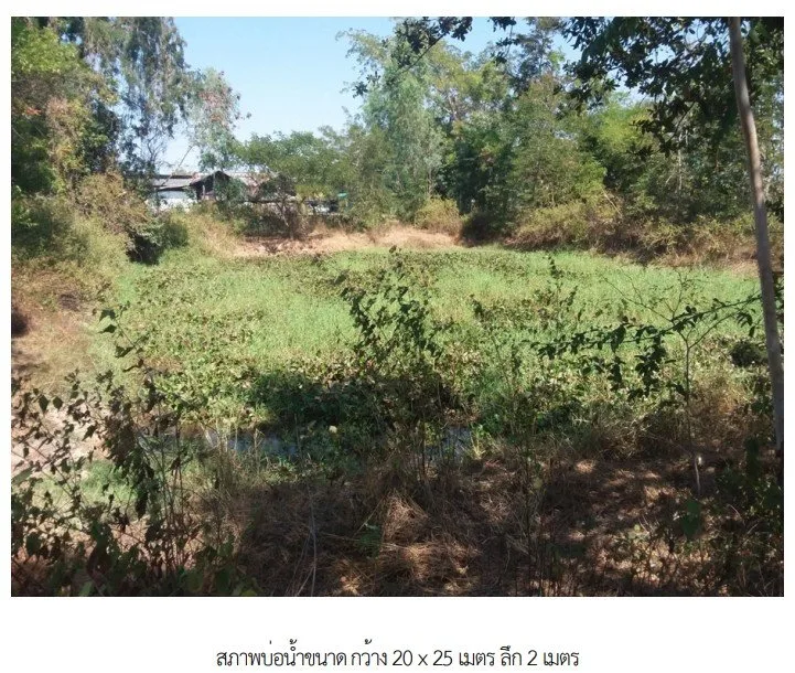 สถานีบริการน้ำมัน ชุมชนบ้านขาม สุรินทร์